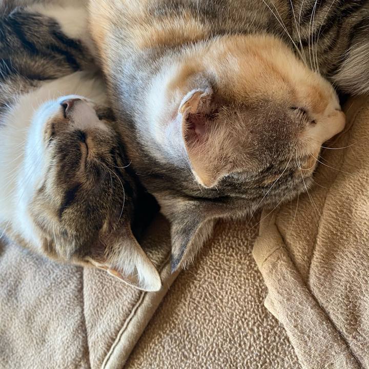 F7d9186c 7fad 4ba9 9870 2d854889c48c 1612332388957