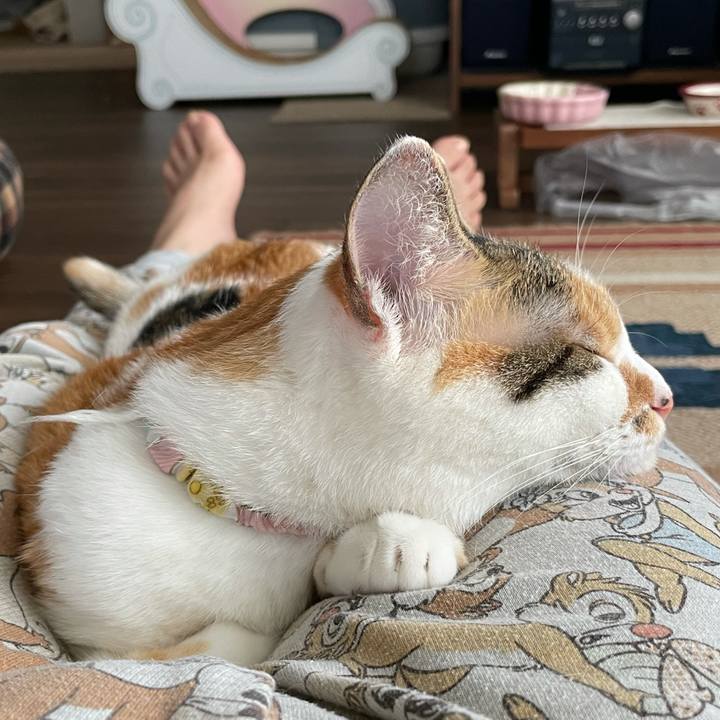 F7d9741f 9d86 48f2 939c 07ec8f028336 1628210020189