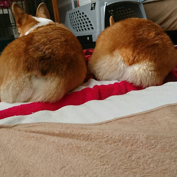 F7d98234 6f1c 41a9 a6cd 3674ad750245 1547783205896