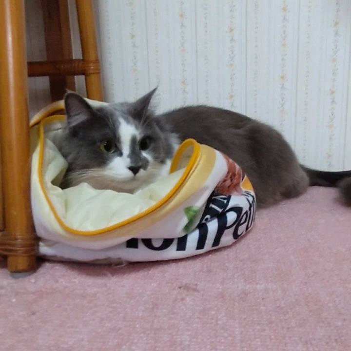 F7d9a515 307b 45ea 9c38 da71dbe6f23b 1668933048499