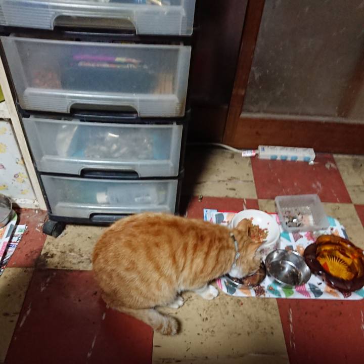 F7d9c8ff 48eb 4661 8afd 4bf1e04e11a8 1590352228835