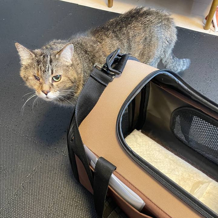 F7da094e 3ece 43fd ae3e 67592a1d6eab 1716616000557