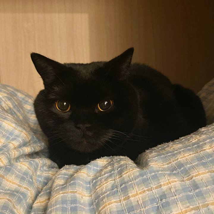 F7da0db3 52e8 42f0 8273 6a84fb7deb14 1680182791722