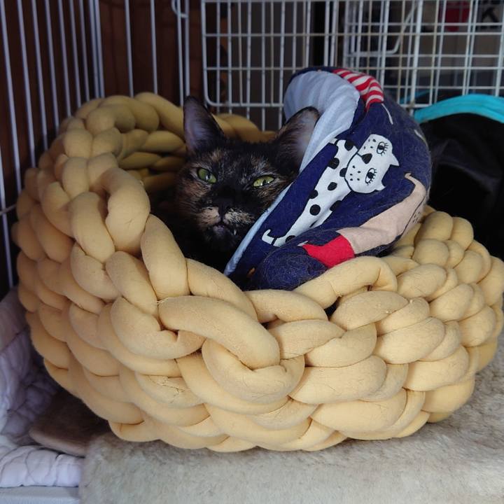 F7da49da 3663 4d37 8e94 6ca2f5bc8ed2 1742188662456