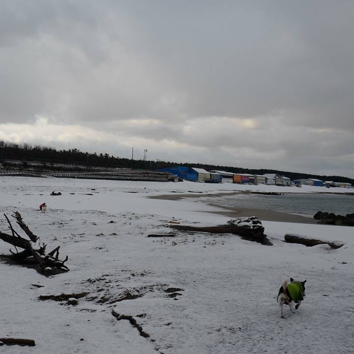 F7dabdd9 8bab 410e 9eab 91874dc49df6 1546401833065