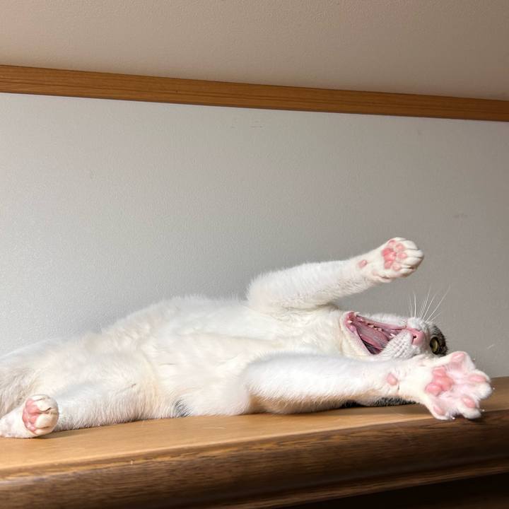 F7dae490 8cef 4926 a6b9 b6b5699c2c2b 1743863891659