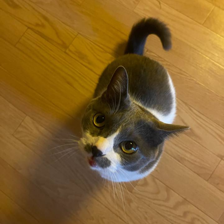 F7db1243 c500 473b 9d6e 1e2b4a1f0e25 1751928608556