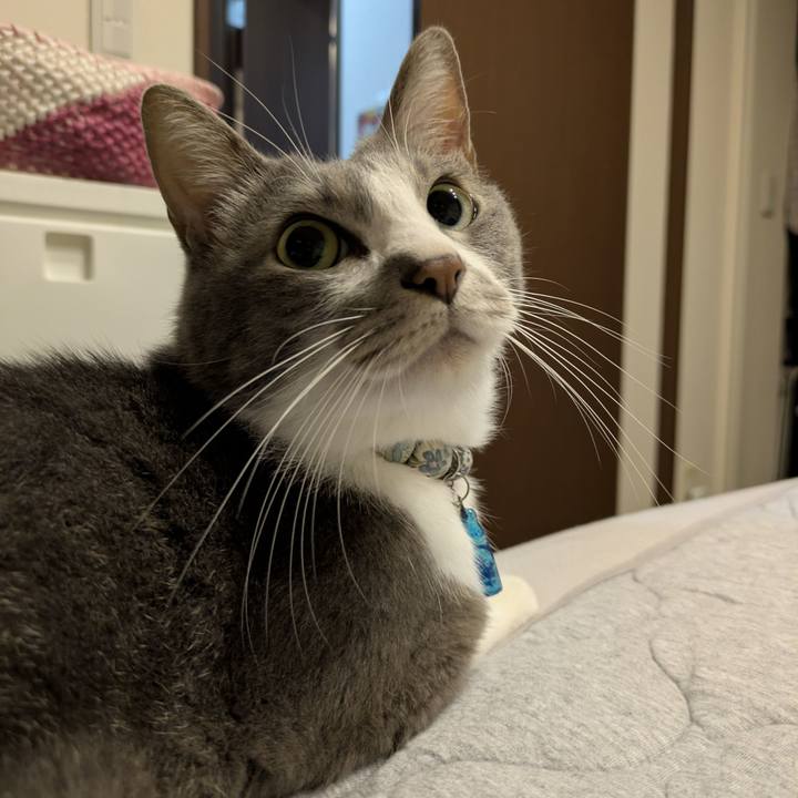 F7db1b60 fe39 452d 8a0e 40e5ad0a41ae 1760960195110