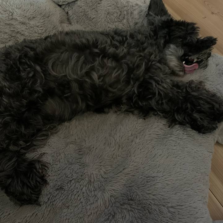 F7db3bf7 afc5 4dec 9f51 25e4214f8201 1597118528318