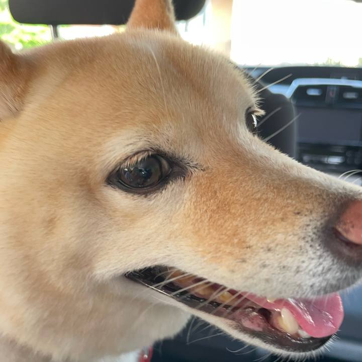 F7db79e0 b1e7 4050 8f73 8105cc01642b 1725753603693