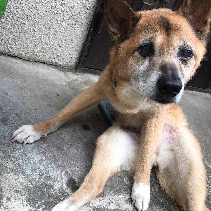 F7db8a68 8844 46b3 aa94 b5393031c14d 1559688332204