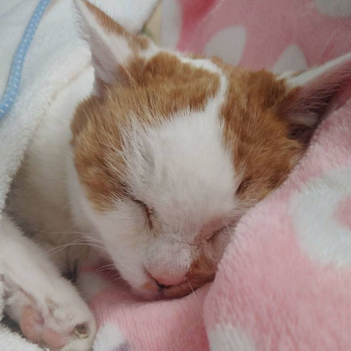 F7db8adc 9556 48bf 8f50 827ac630b320 1671277888830