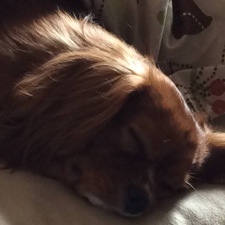 F7dba393 40a0 4fb2 99b6 1d46ae4f6072 1510871384791