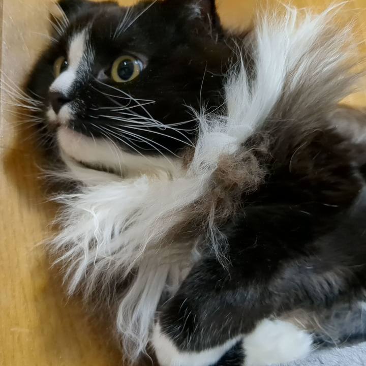 F7dbb1c6 9629 43e8 bed9 d4f30f468a97 1667136073650