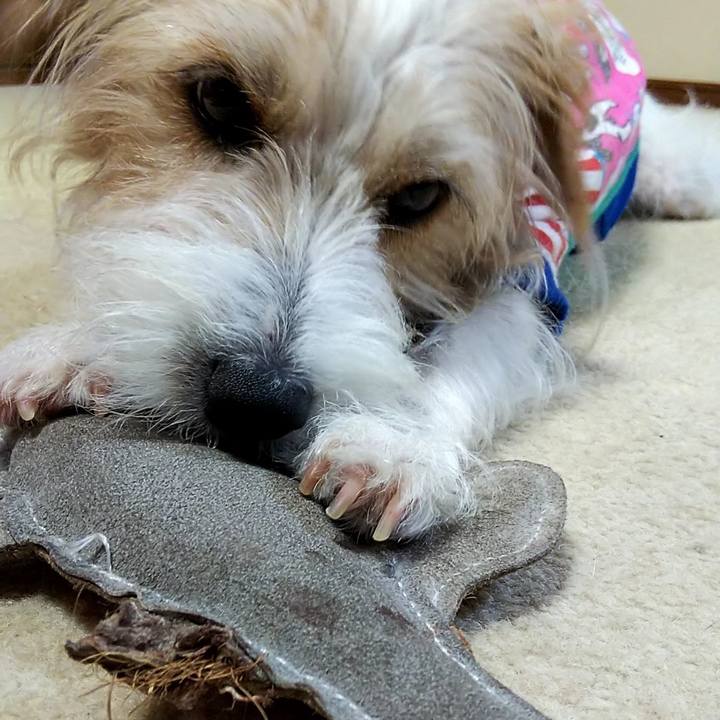 F7dbca1d 5e6f 445b 94be b2056d7bea13 1531710999285