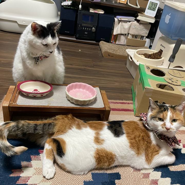 F7dbe1eb 8e23 4bd9 83ed 7190fdea875e 1764941116699