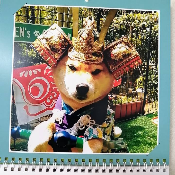 F7dbf2b7 ce94 4ab6 8fee 2943f9dec69f 1588304198256