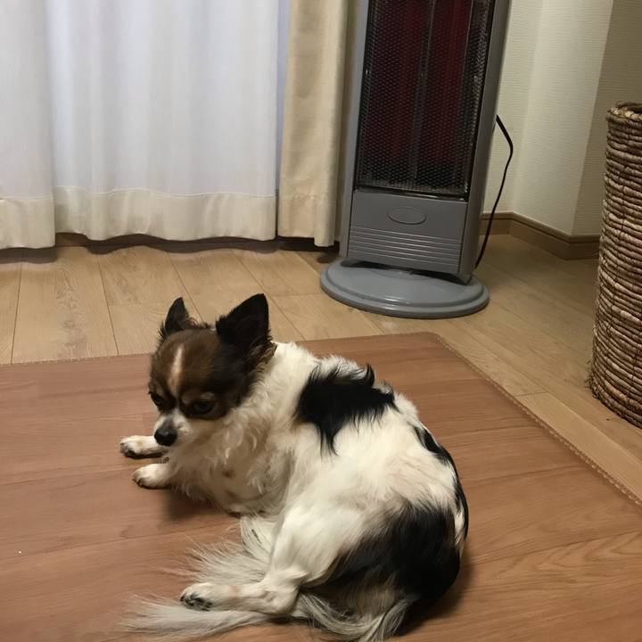 F7dc08f9 3883 41c0 8511 ba88e96e3a97 1579331020577