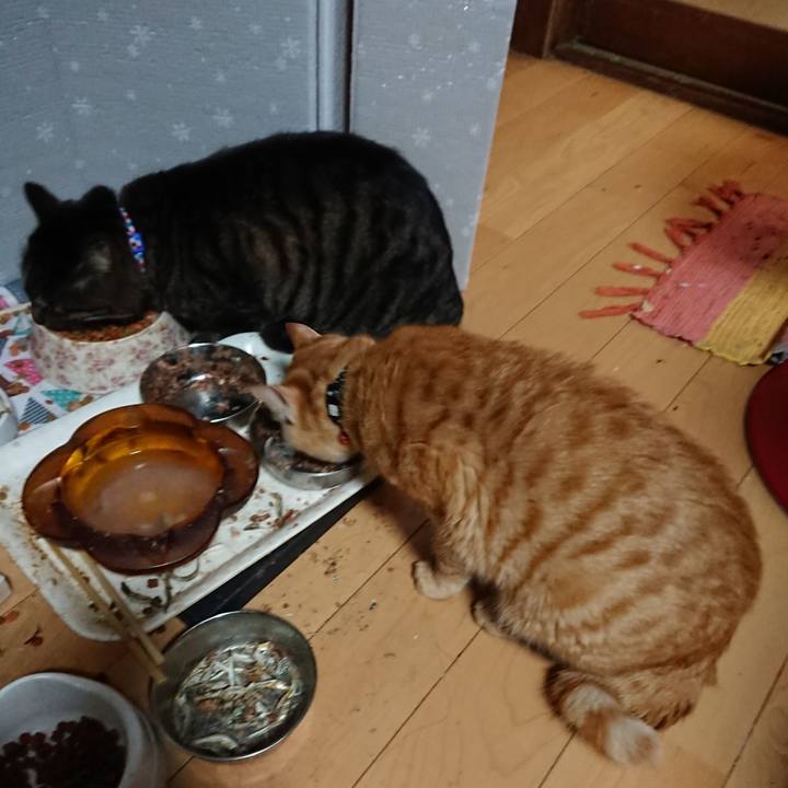 F7dc0aff 3cfc 4333 9ff3 801b5f204a7b 1641021999412