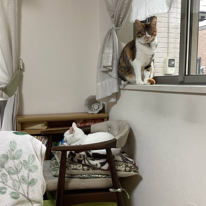 F7dc63d4 b2cd 4c47 8122 71314c6c99e7 1682467130155