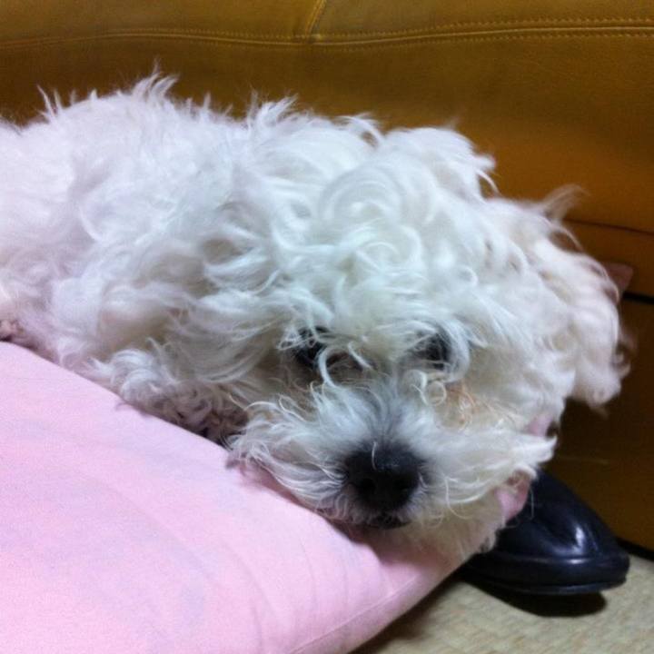 F7dc71d8 2241 4b36 8502 f9dd171e126a 1662673295776