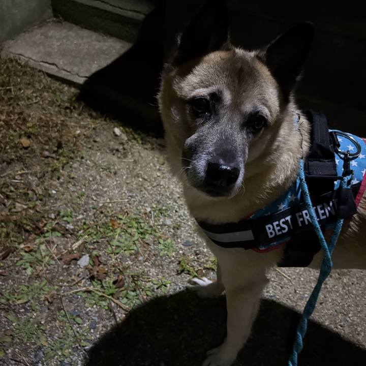 F7dc9232 1980 4e23 bb21 4557acd5ee59 1764594394662