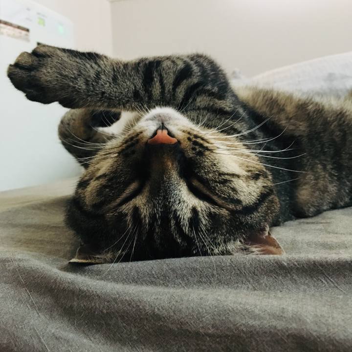 F7dca5d0 497f 4d8e b470 aeb1d17726dd 1592019570983