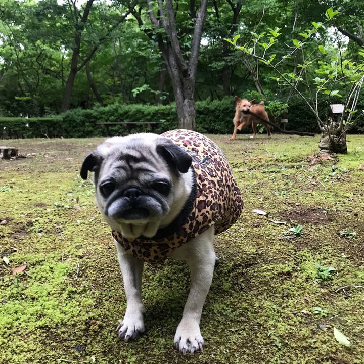 F7dcb50d 20da 4e3c b859 e45e56ed6d1d 1590021960934