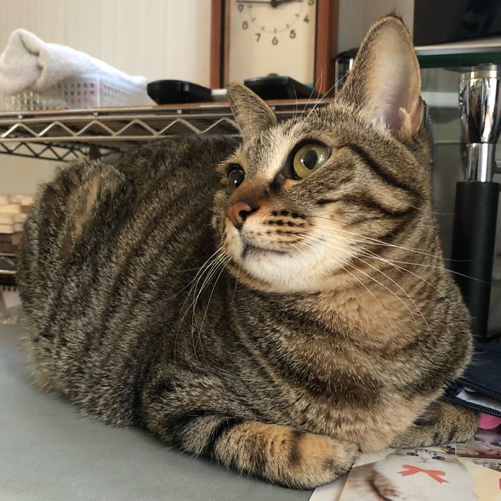 F7dcc11d b338 4091 883e 30c6506ee9c6 1551385185409