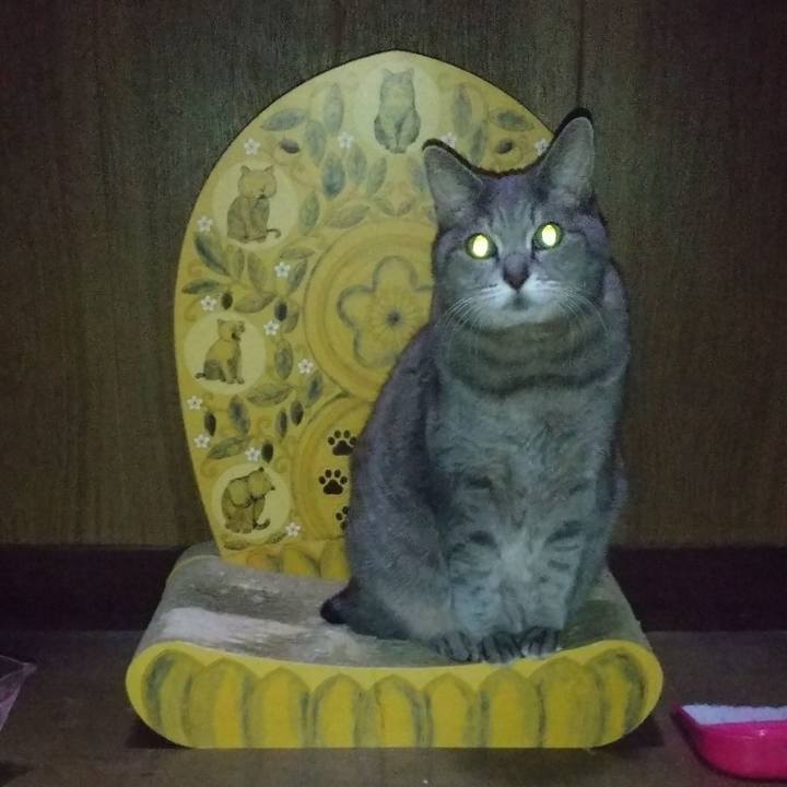 F7dcd7bf 137c 4b6e b846 ef012430c204 1636938215210