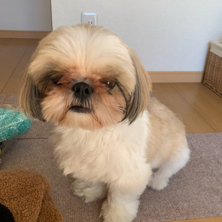 F7dcdbcd 9e2b 4f9c b84c adfed7e4bf62 1604041317755