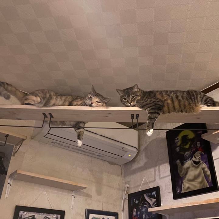 F7dce9a2 f43e 4d40 b622 031e1f6949a0 1595812413575