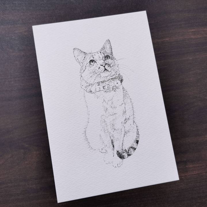 F7dd0251 f490 4237 883c 7548dad431d2 1657120112257