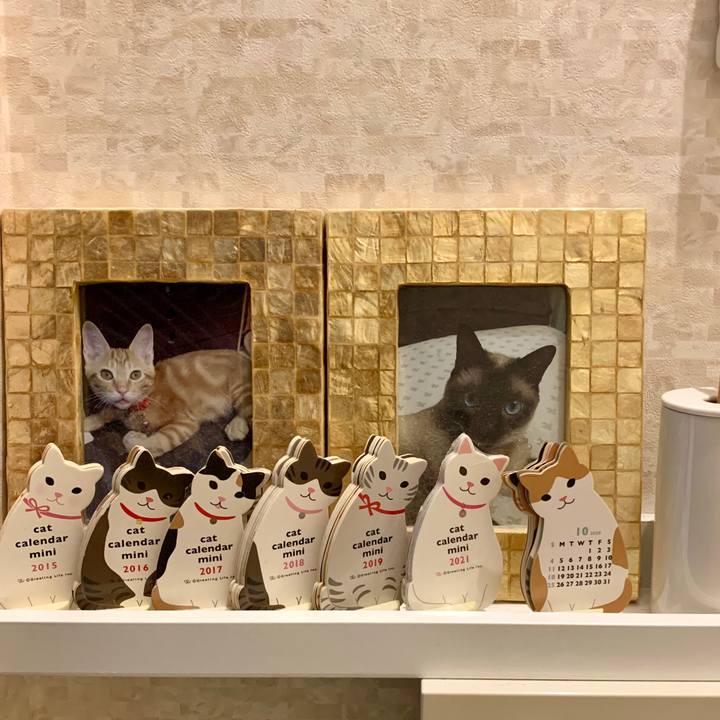 F7ddb0b8 1acd 4af5 b2ad 8c0ab1d4c368 1603026850937