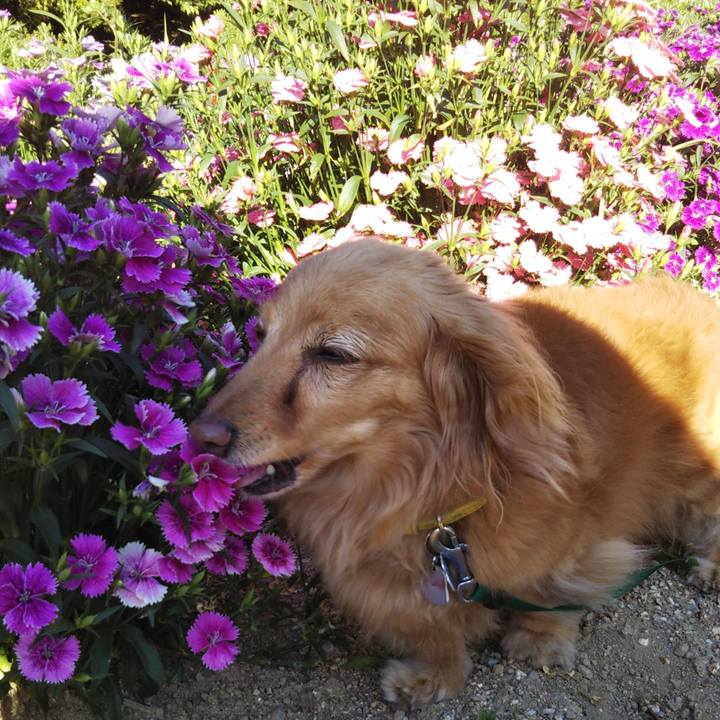 F7dde07d 9b7b 4369 9199 a5a935ff0f74 1619436569730