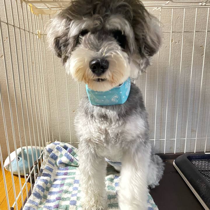 F7ddea56 b0d5 410d ad06 7826ec94edc0 1592880029802