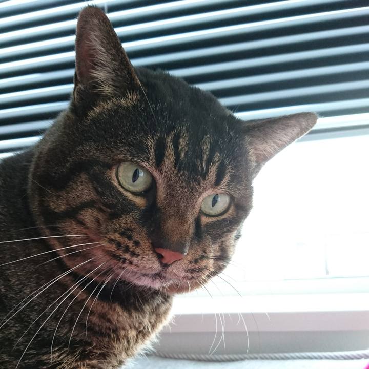 F7ddfd9e d9ef 4a6e 9acc 4854984bcdd3 1547028204533