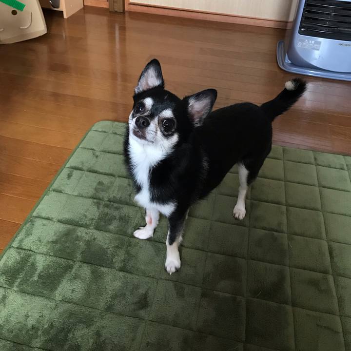 F7de1626 efa3 40c9 af20 9612f8a0fa59 1545626405554