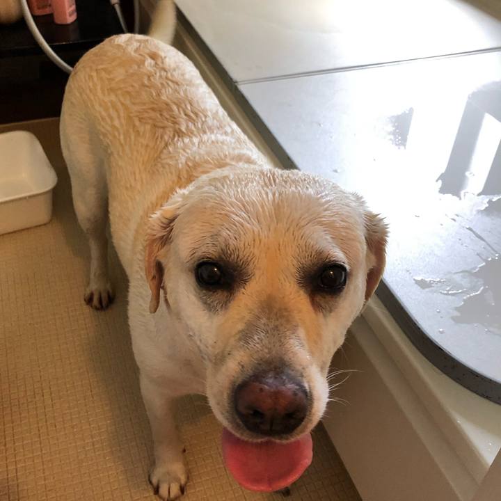 F7de20cc a75f 465c 8111 b6d50b25e962 1595760227001