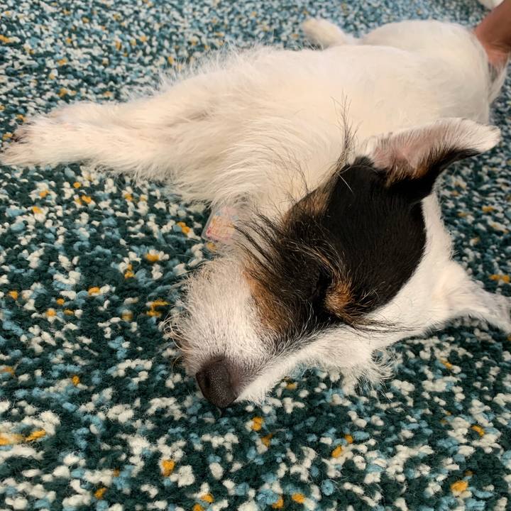 F7de24e4 3d53 41af b964 737f2ae5b6e9 1656742567304