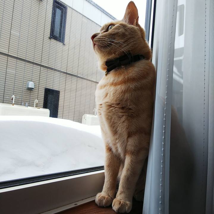 F7de6e40 8561 41de b154 9ee484e8a0c5 1615002538831