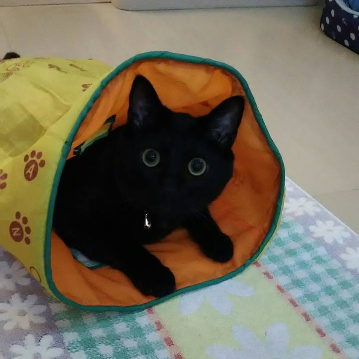 F7de9513 7980 4ecf bd6d 4fc5c203629f 1522986743113