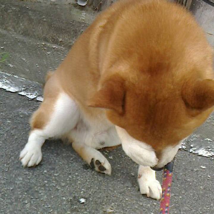 F7dea279 ff8f 4145 a4ff b59e0c671c79 1532145262159