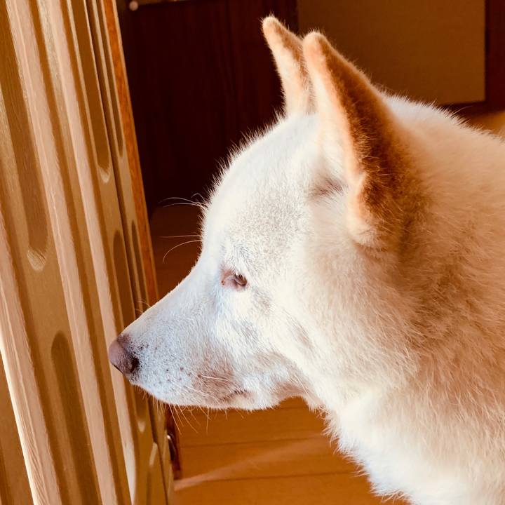 F7dedbbe 120b 4575 b748 ef91524fe1e6 1563830404914