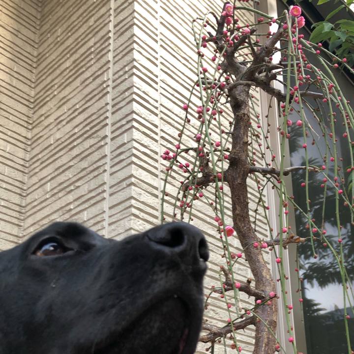 F7dee10d d800 4f13 bab3 96160e3b295a 1580633473210