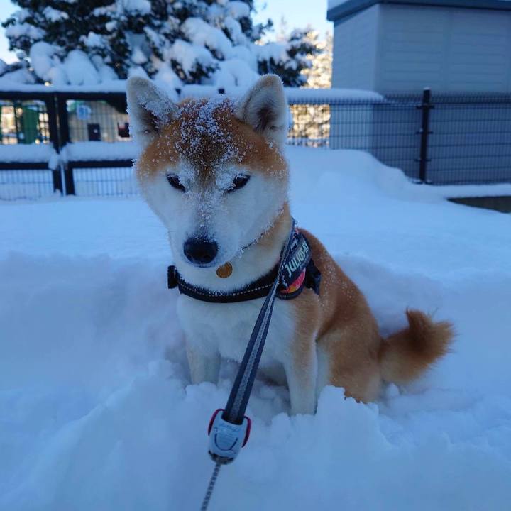 F7df116e 054b 4700 9868 7f993a6b0489 1640314006308