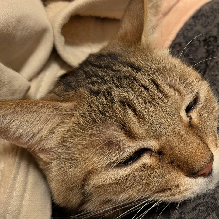 F7df6465 1366 4461 9152 697edf463a94 1769638485825