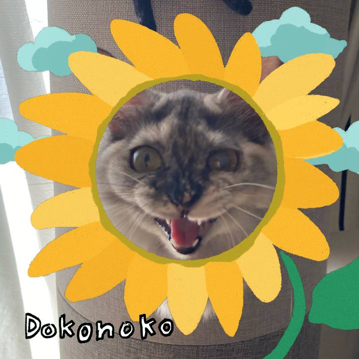 F7df988e fc34 4e67 9ab8 a7465963555f 1723175733632