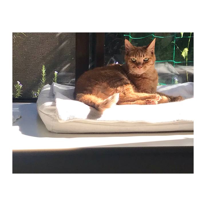 F7dfe93b 479d 4c76 838b 8a1255ae07c1 1662789023303