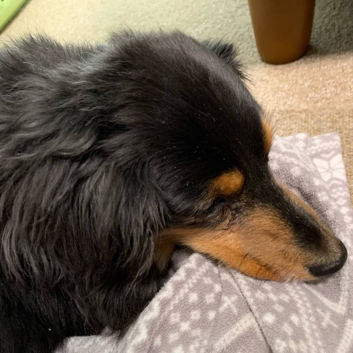 F7dff88b 456e 46c1 ab9f 4801b2809089 1590276374084